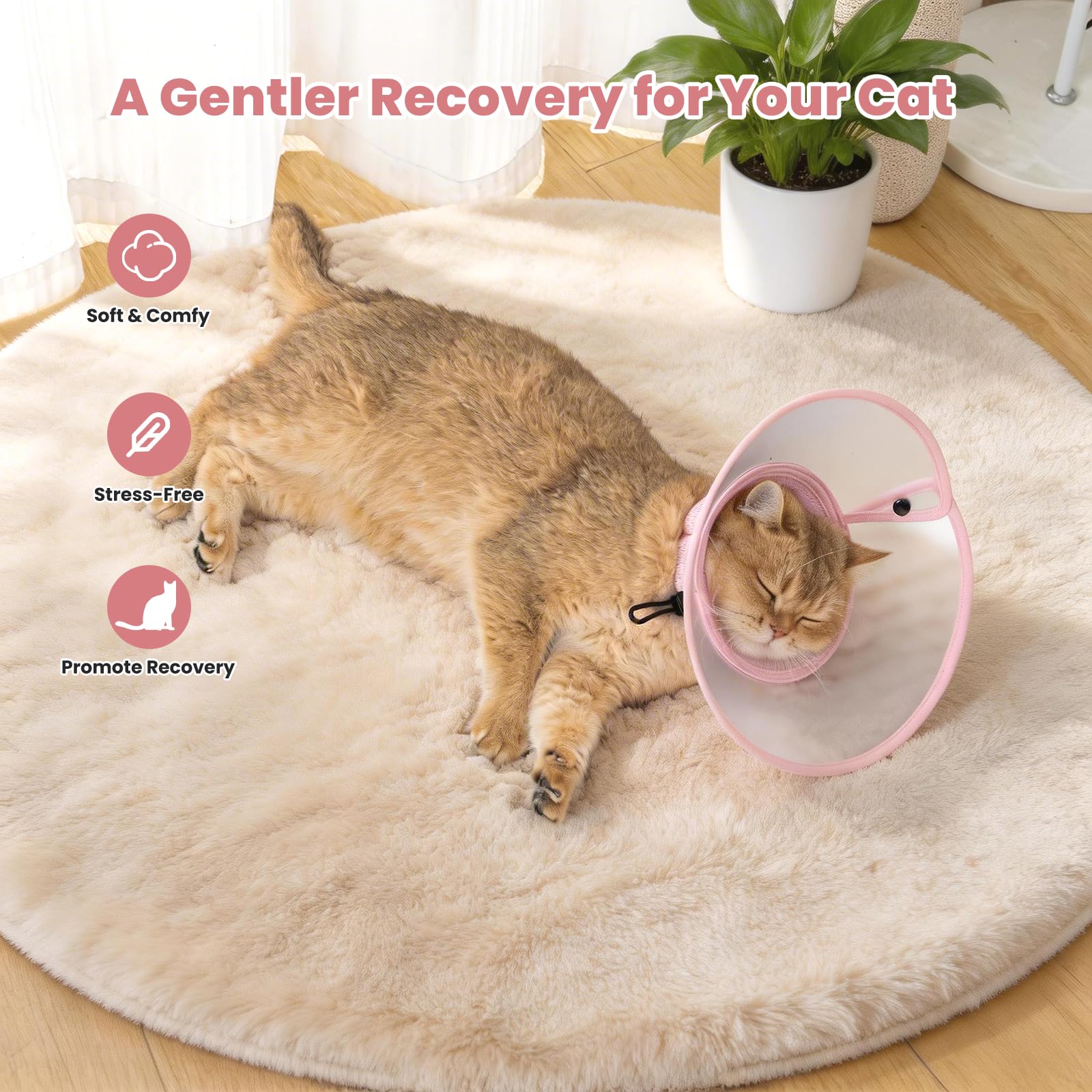 Avont cono ajustable para gato, ajuste con cordón para un ajuste seguro.