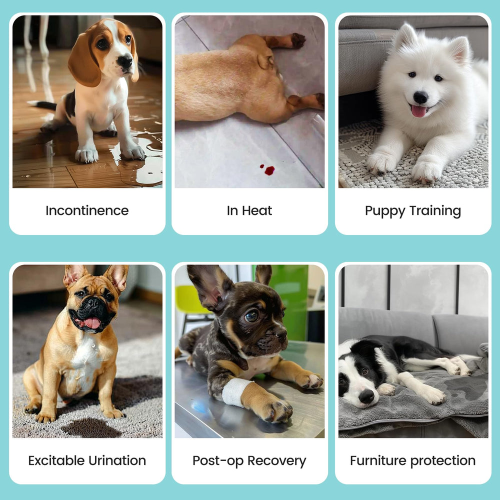 Avont Frenchie: relleno absorbente para mayor absorción