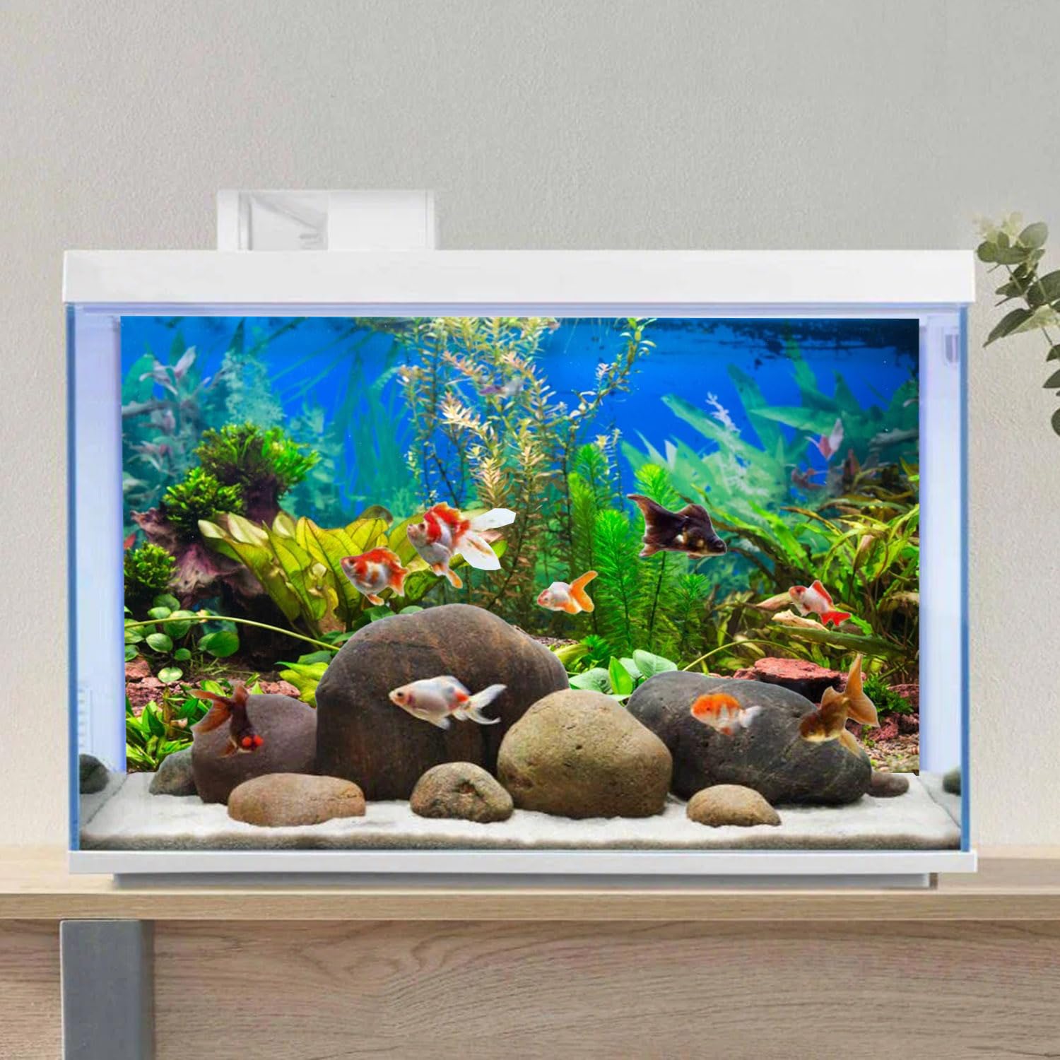 AWERT fondo acuario instalación rápida con cinta EVA: montaje seguro