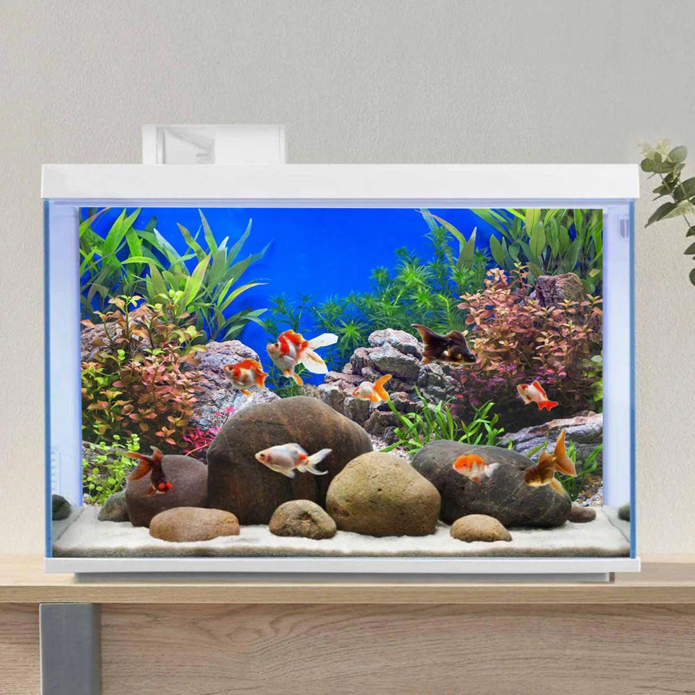AWERT fondo acuario piedra río lago instalación rápida gracias a la cinta EVA.