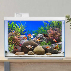 AWERT fondo acuario piedra río lago instalación rápida gracias a la cinta EVA.