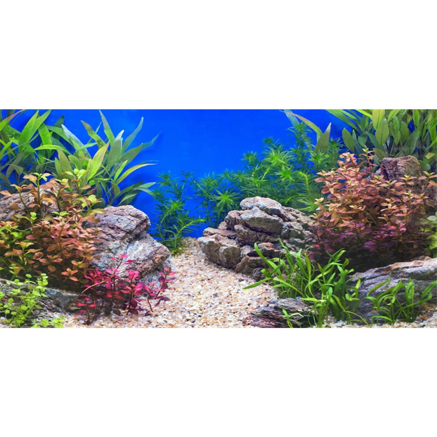 AWERT fondo de acuario piedra río lago: fondo realista para un entorno natural