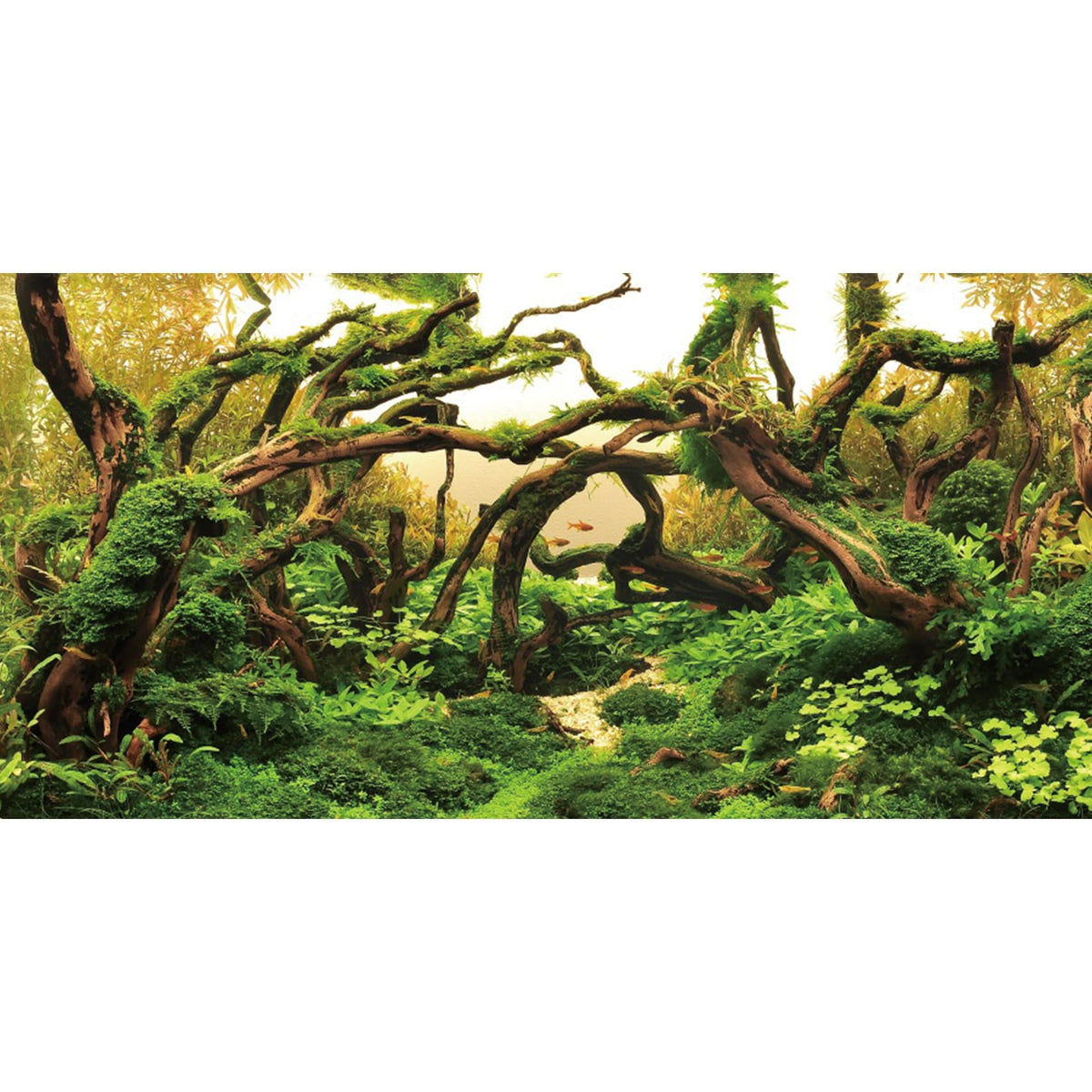 AWERT fondo acuario ramas y plantas, crea profundidad visual y ambiente natural.