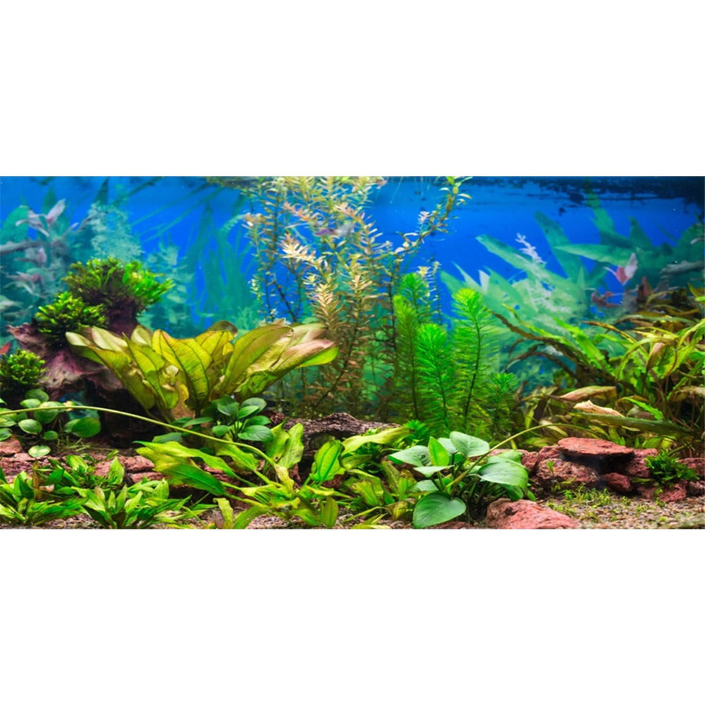 AWERT fondo para acuario río con plantas, ideal para profundidad visual y ambiente natural