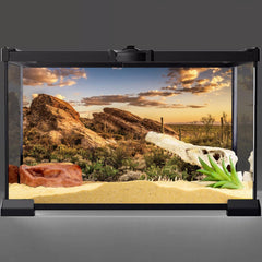 AWERT fondo para terrario: paisaje desértico con sol que realza colores
