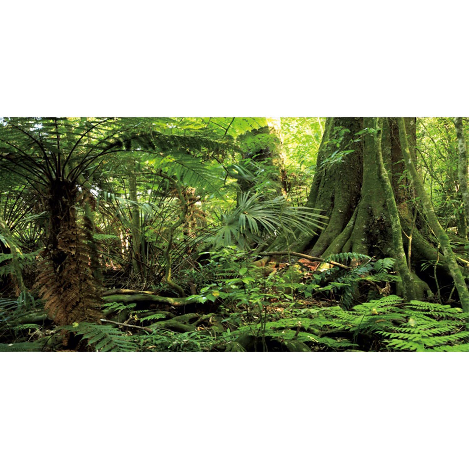 AWERT fondo terrario bosque con piedra verde y árbol grande para el hábitat