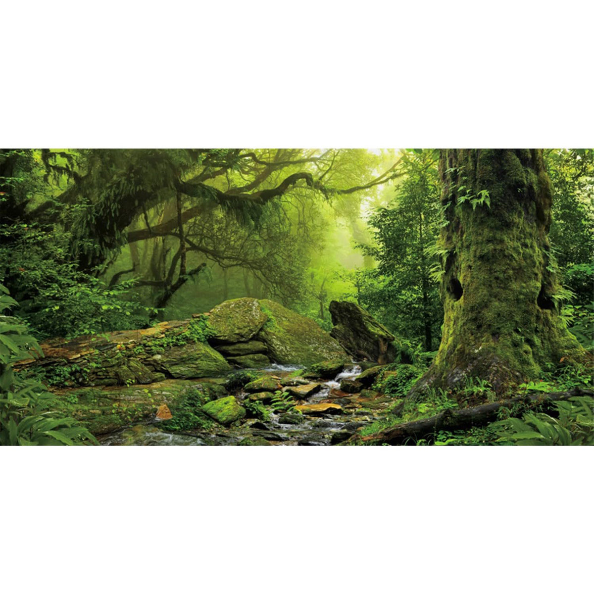 AWERT fondo terrario bosque tropical con árbol grande para un ambiente natural