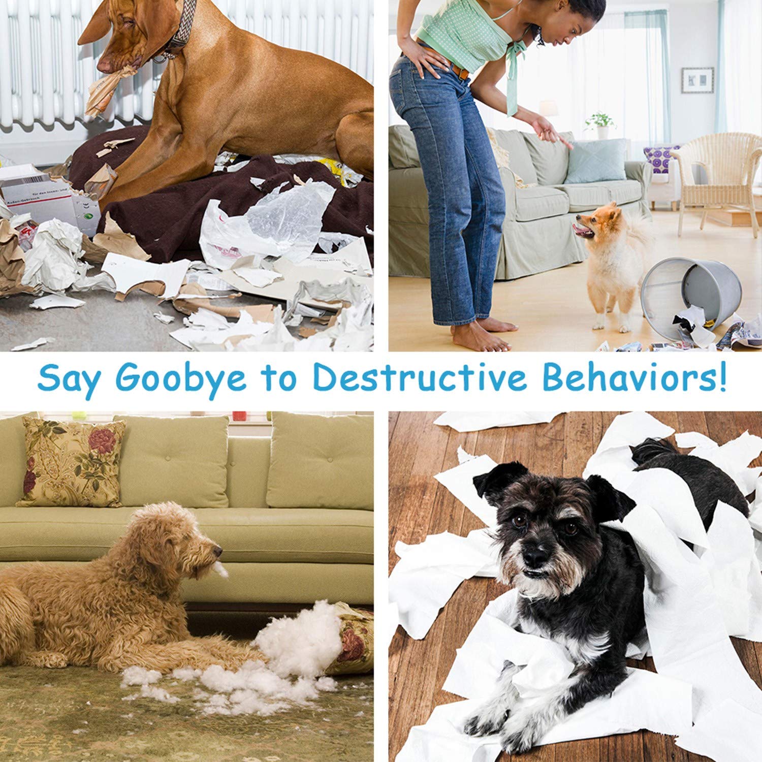 AWOOF alfombra olfativa para gatos, estimulación mental diaria.