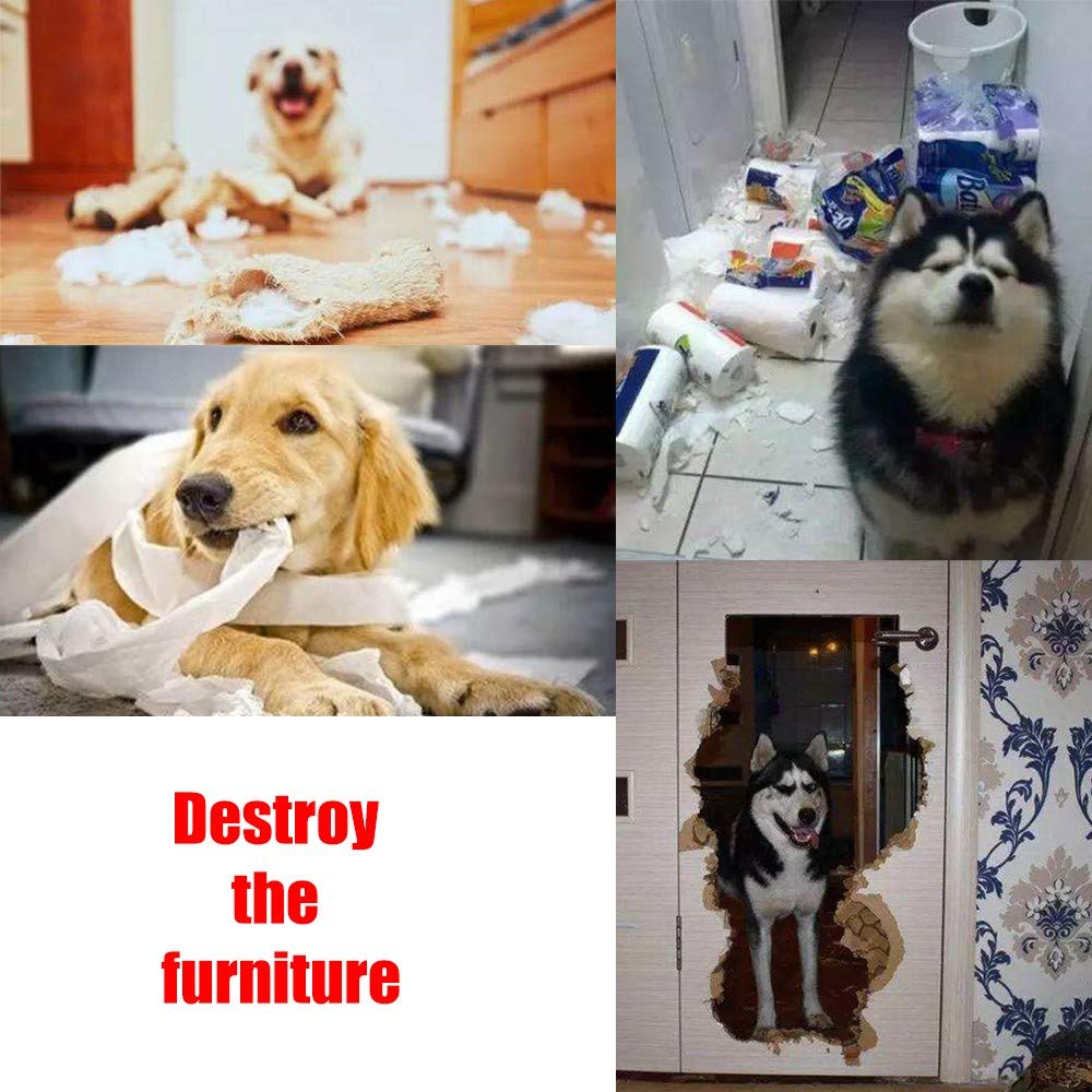 AWOOF dispensador de golosinas para perros durante el juego y recompensa.