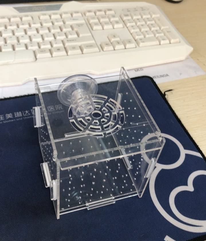 AWXZOM incubadora para peces vivos, ideal para crías pequeñas y gambas