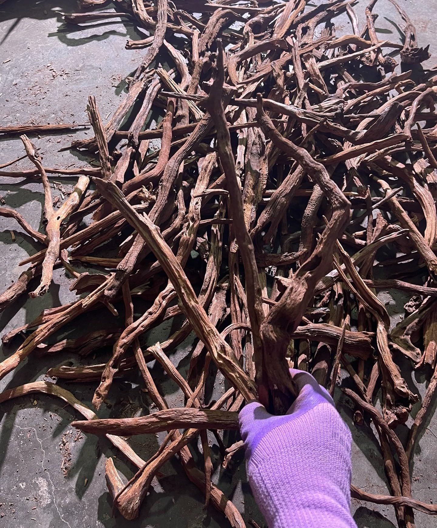 AWXZOM Madera flotante pretratada para acuario, lista para uso inmediato.