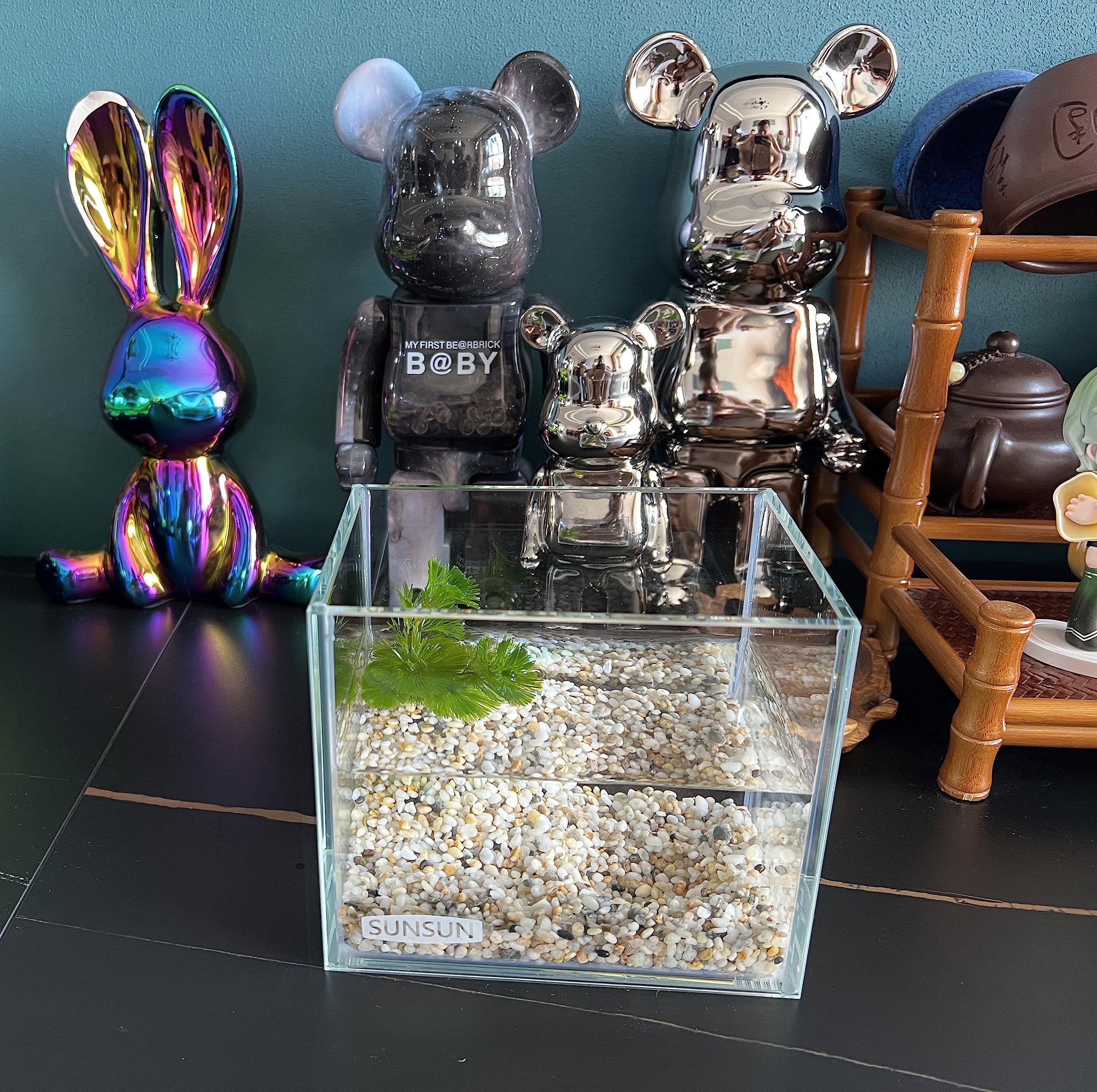 AWXZOM nano tanque apto para tortugas y reptiles en espacios pequeños
