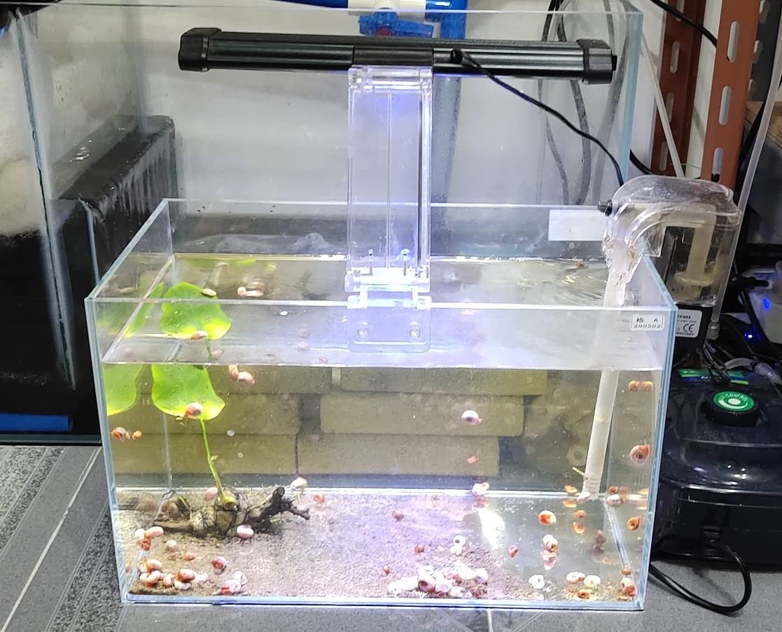 pecera AWXZOM nano con diseño de paisaje rico para interiores