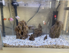 AWXZOM piedras para acuario, para plantas y musgos, soporte de crecimiento.