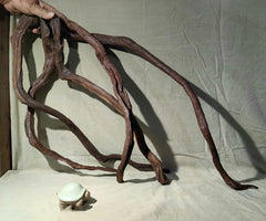 AWXZOM Madera flotante para acuario, ramas naturales, decorativo y duradero.