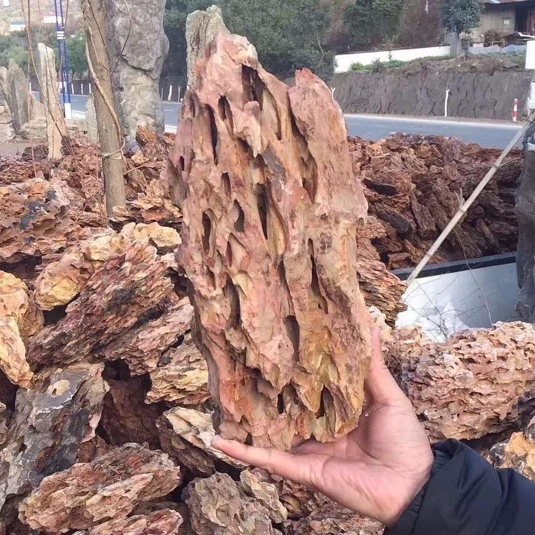 AWXZOM rocas decorativas dragon natural para acuario, aportan naturalidad y estructura al diseño.