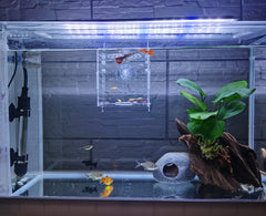 AWXZOM tapa transparente para cría de peces, mantiene las crías seguras