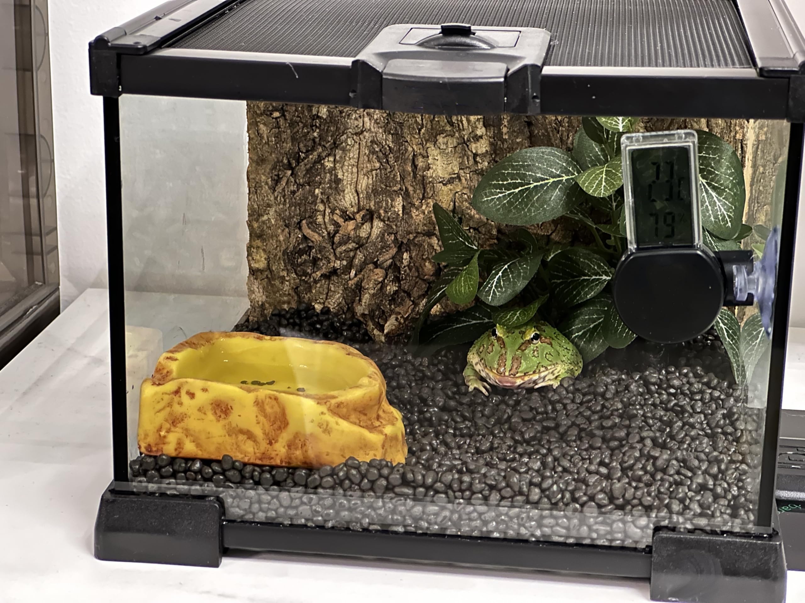 AWXZOM Terrario mini, diseño compacto para espacios reducidos y fácil montaje