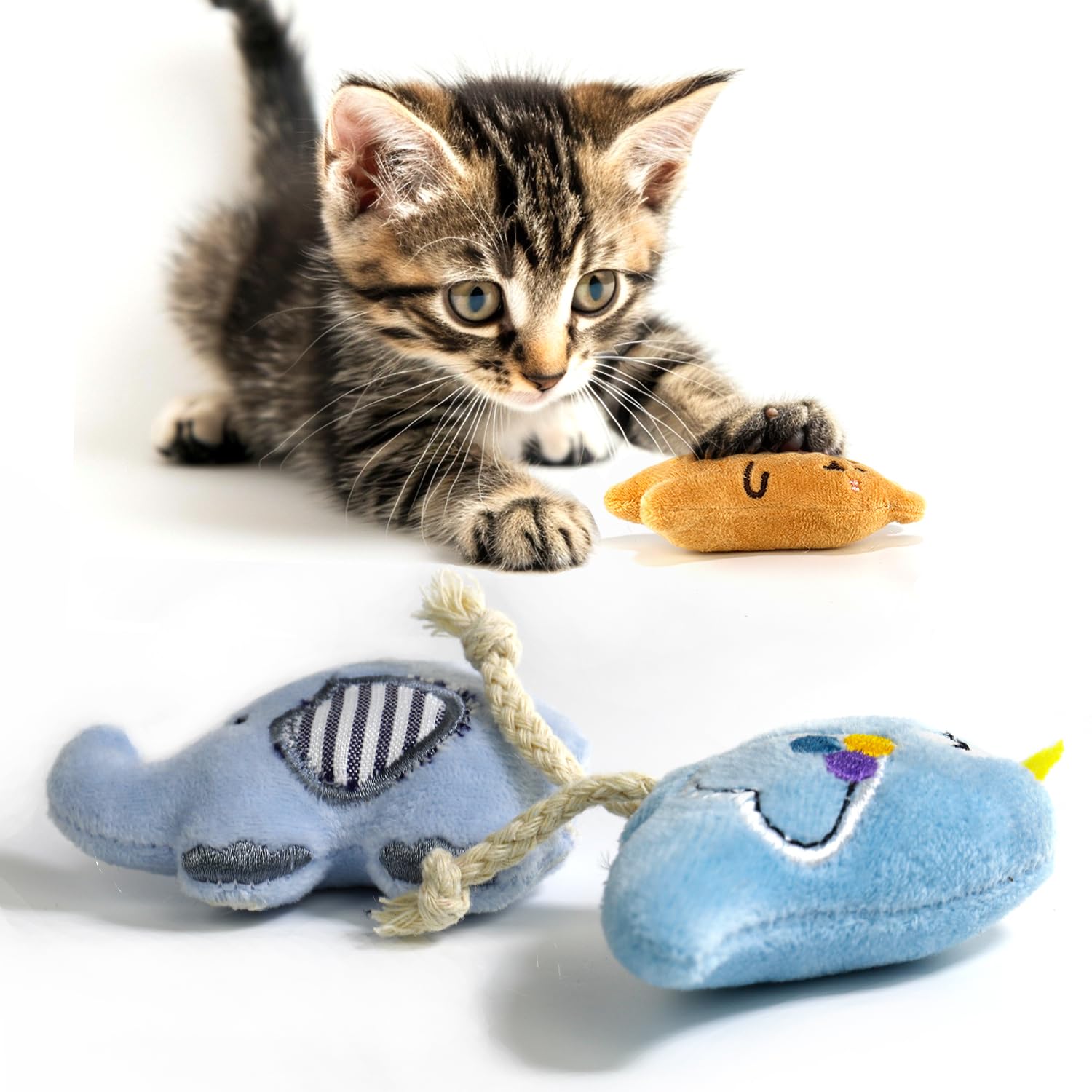 AZOFFYIU Paquete de seis juguetes para gatos, ideal para interior