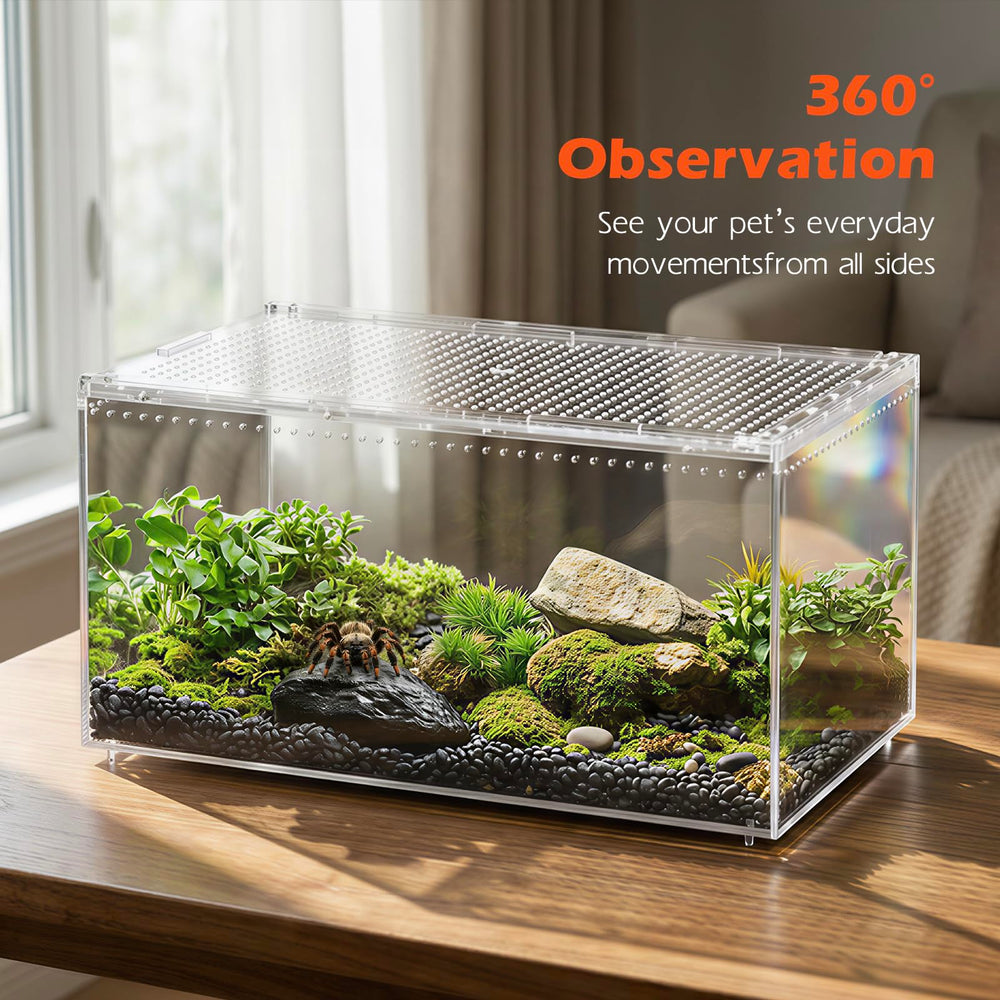 AZV hábitat multiespecies apto para geckos, tarántulas e insectos.