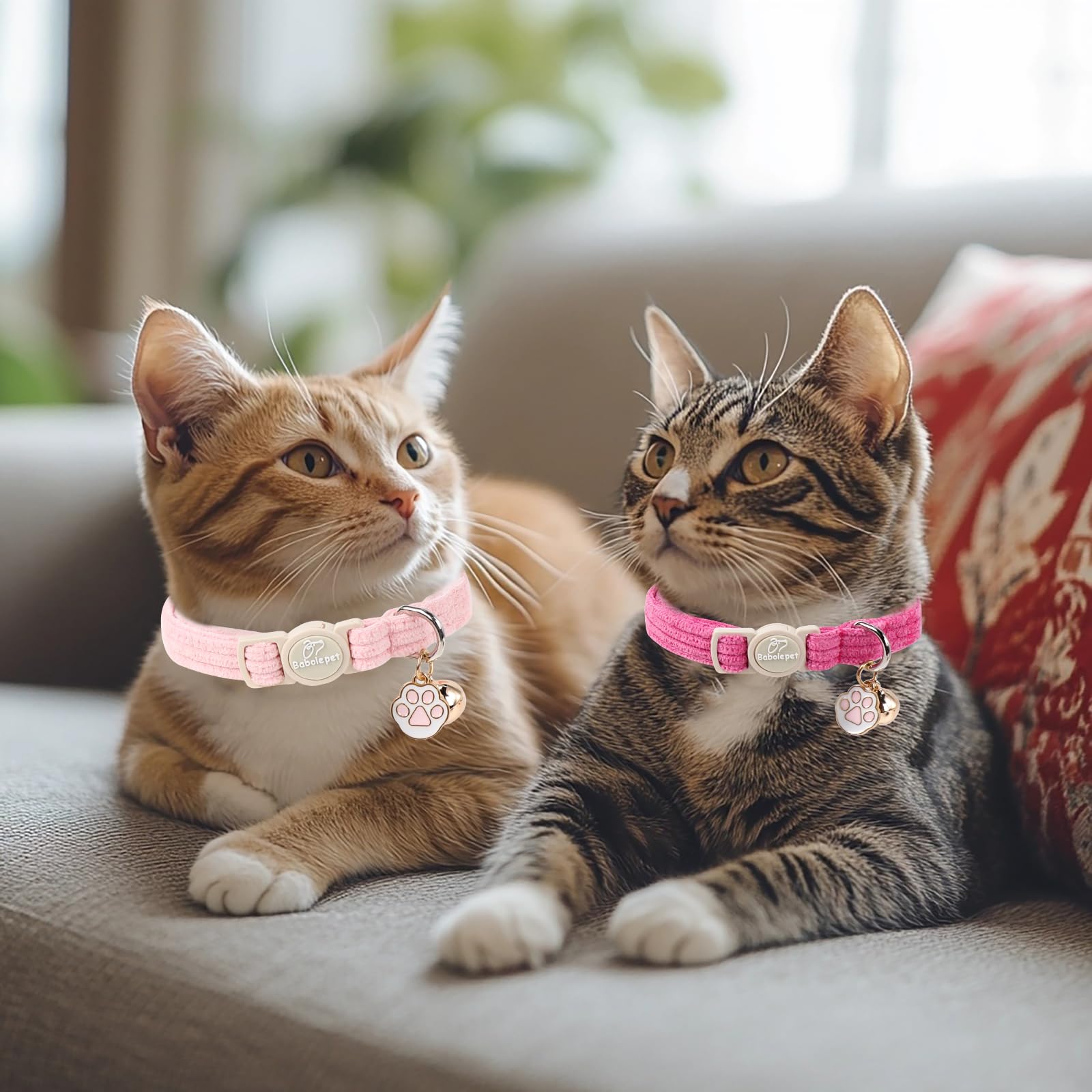 Babole Pet collar corduroy con cierre de liberación seguro.