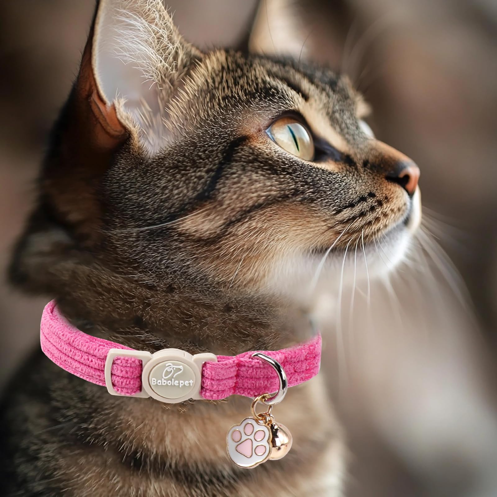 Babole Pet collar corduroy interior suave para cuellos delicados.