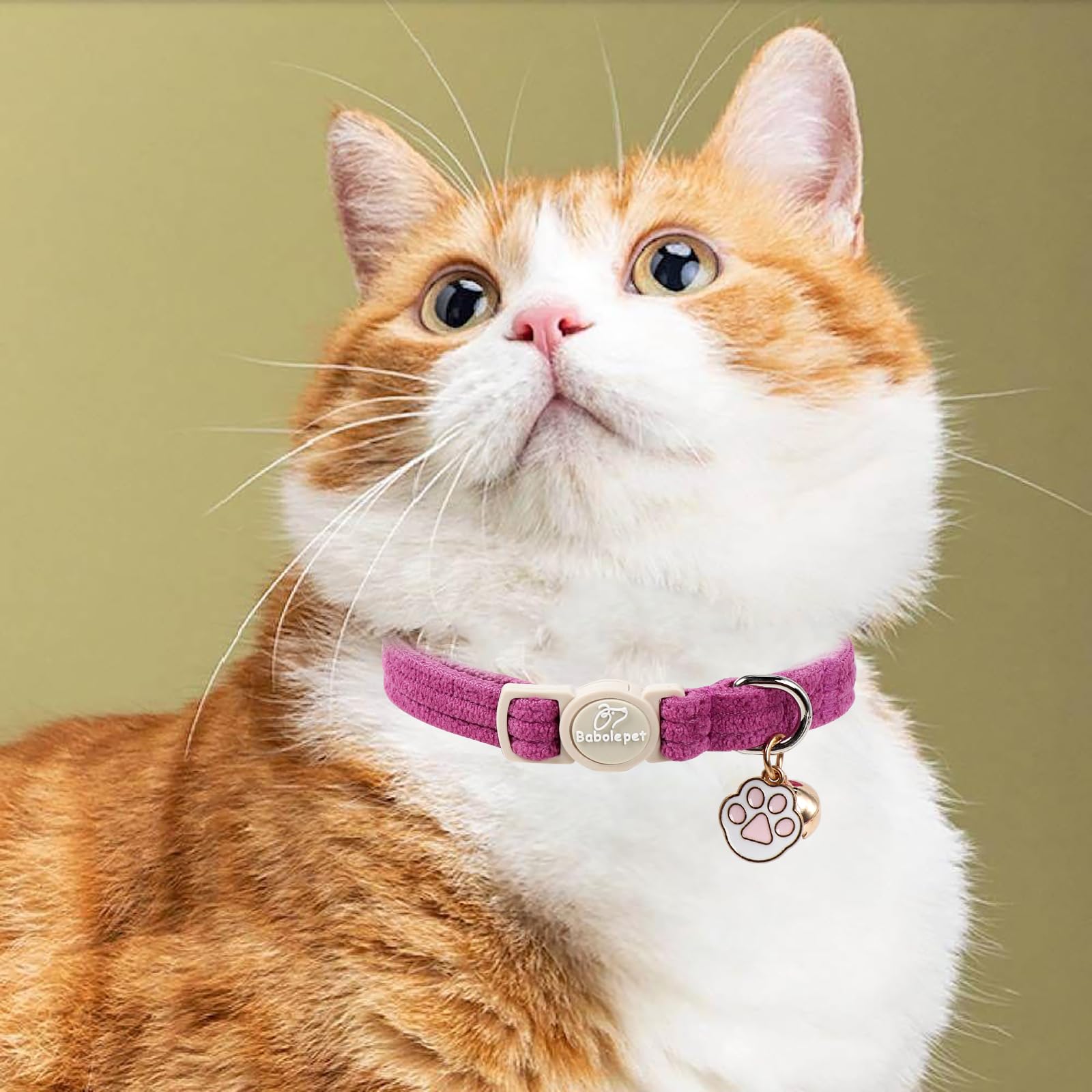 Collar Babole Pet de pana regalo ideal para gatitos en crecimiento.