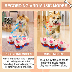 babouri cerdo interactivo musical: modo grabación para sesiones de entrenamiento y diversión