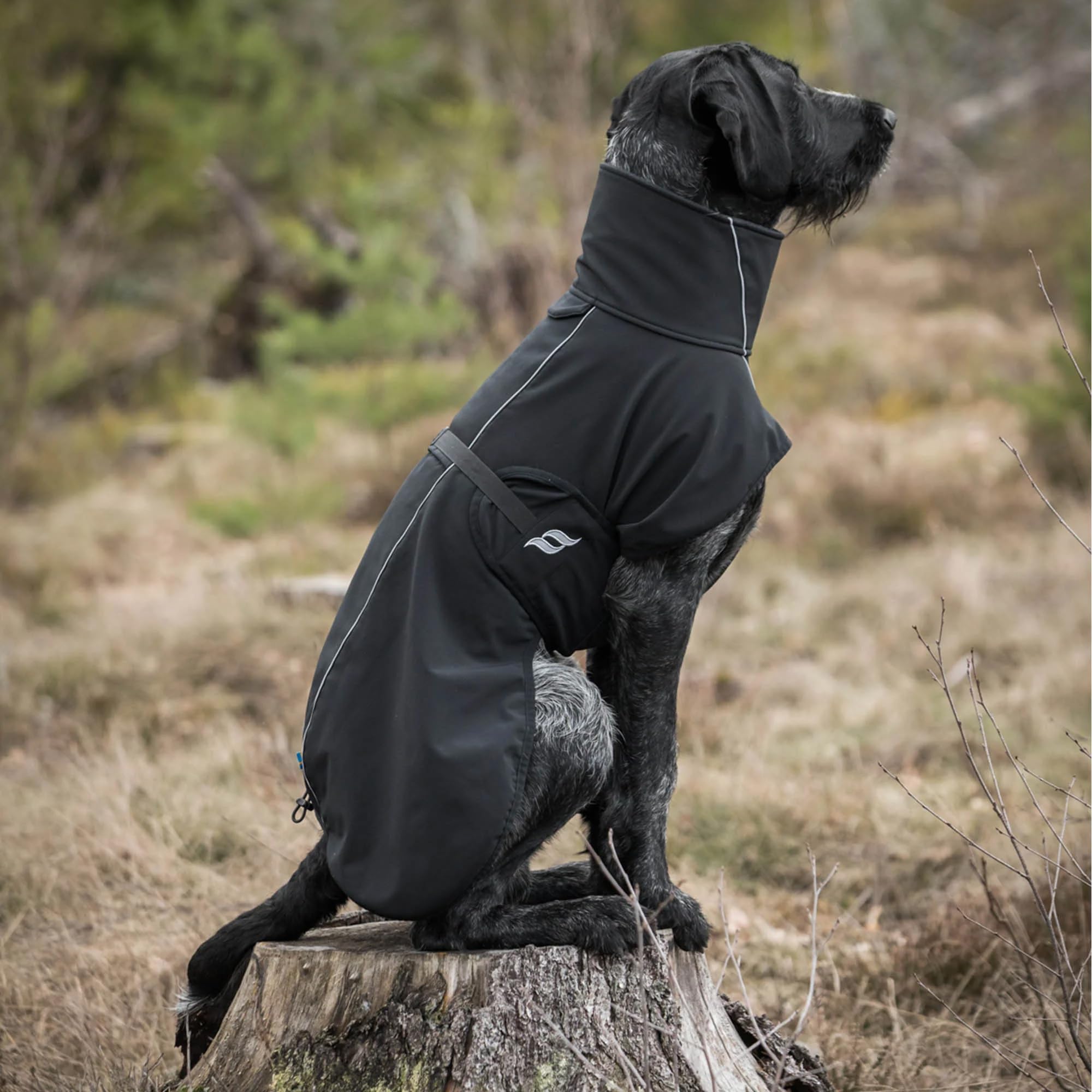 Back on Track Bark: capa compatible con Eddie Jumper para mayor abrigo