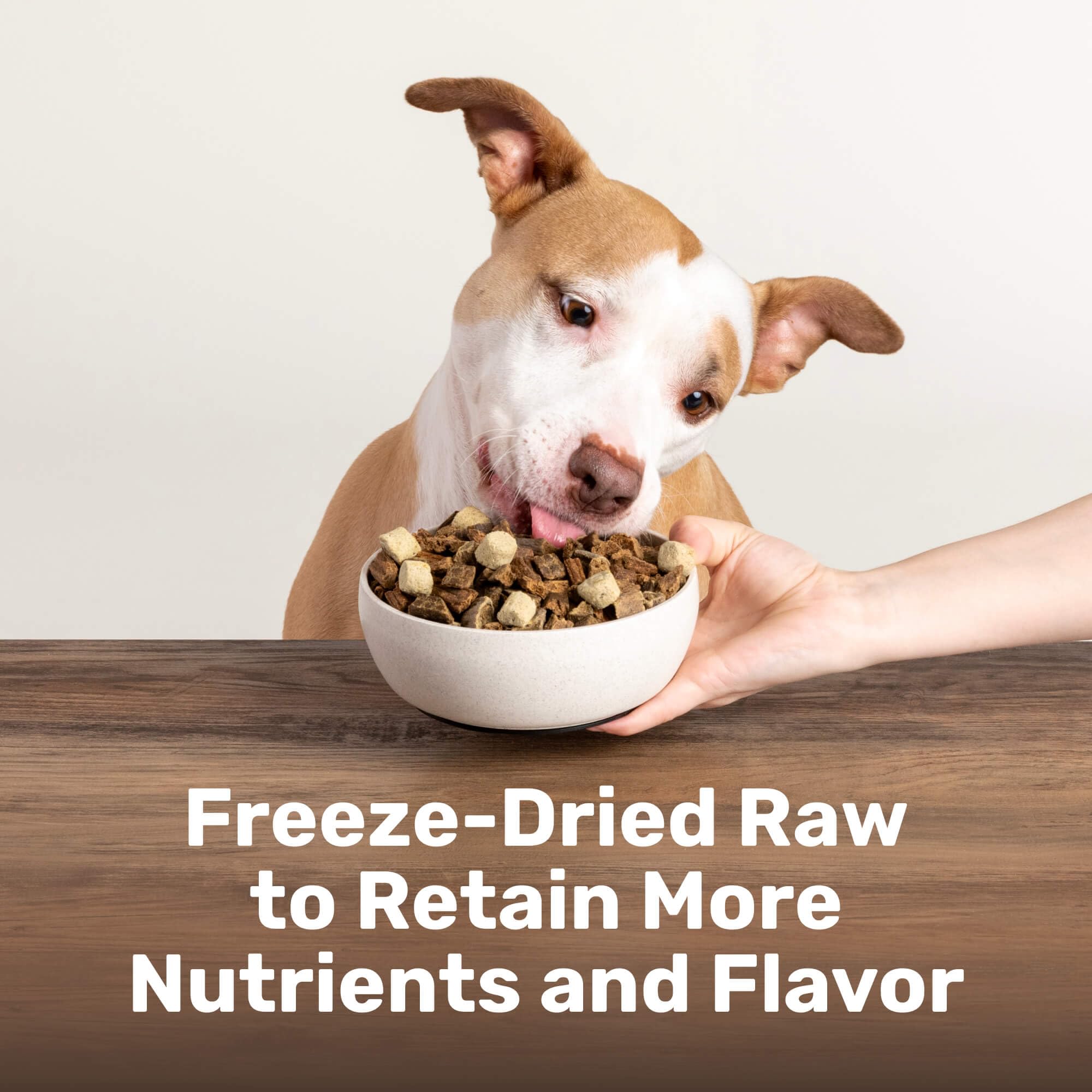 BADLANDS RANCH sin rellenos: ingredientes reales y responsables para perros felices.