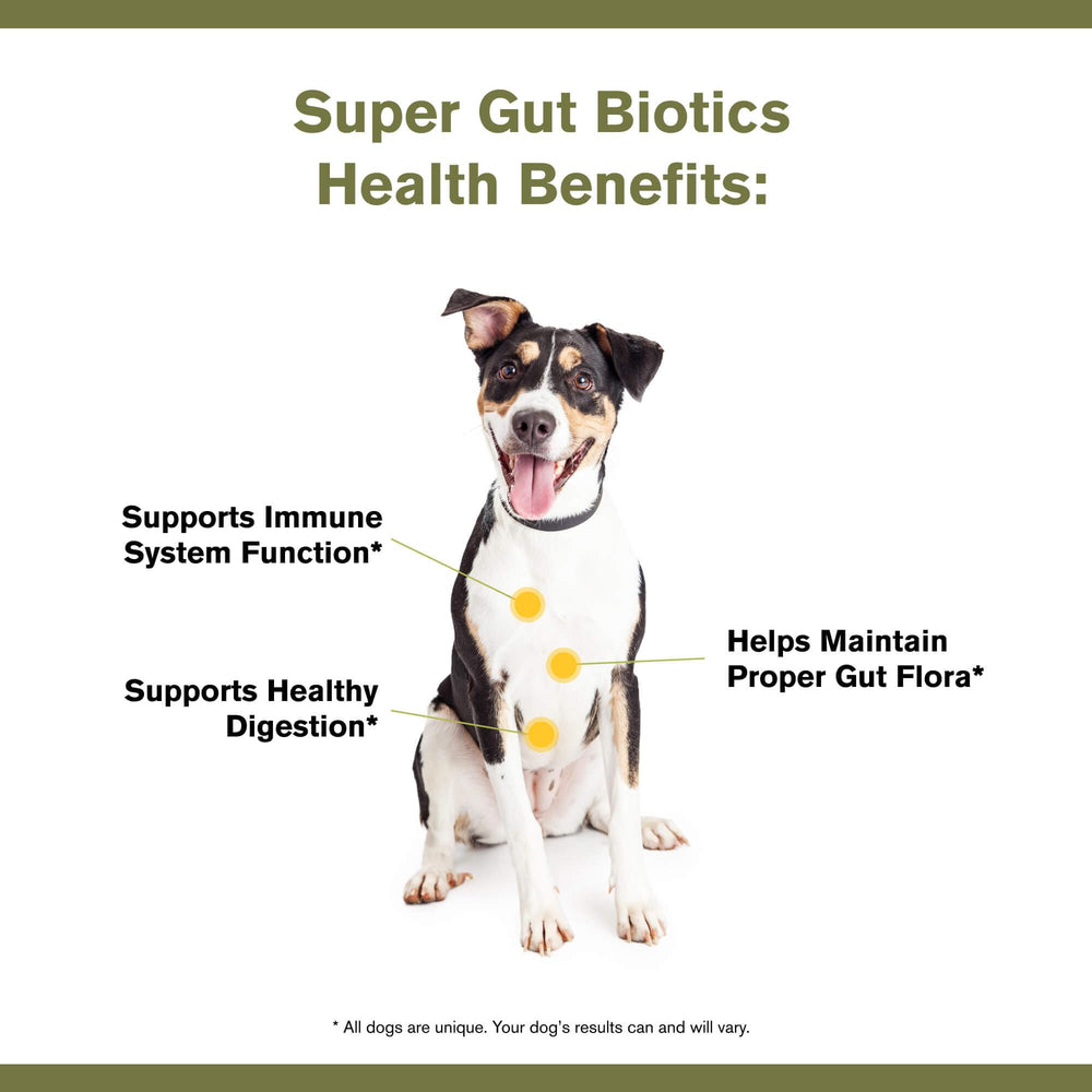 Badlands Ranch Super Gut Biotics, mezcla probiótica, favorece el equilibrio de la microbiota canina.