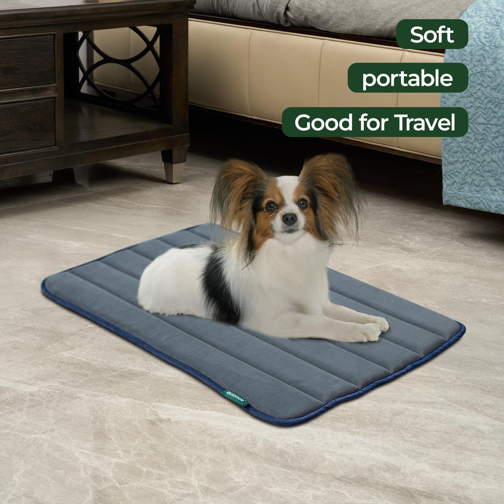 BALANCE base antideslizante jaula perro mantiene la cama en su sitio.