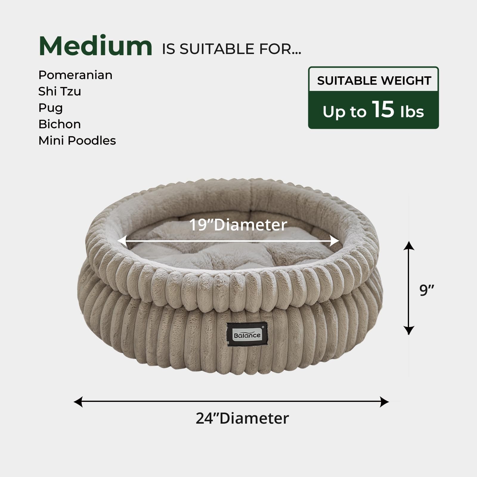 BALANCE cama gato interior, ideal para gatitos y horas de juego.