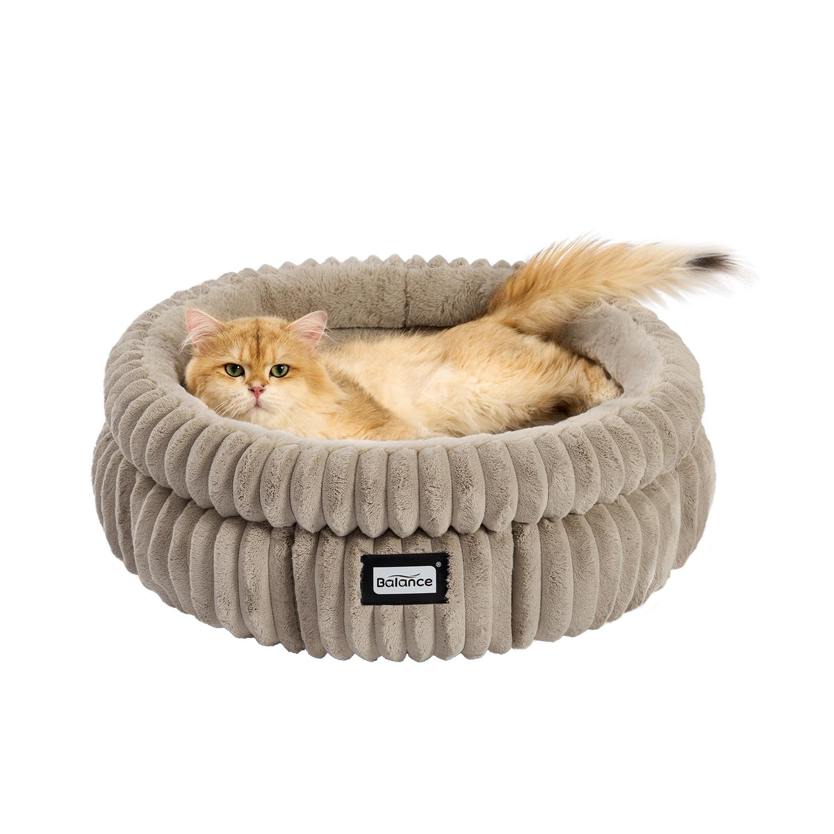 BALANCE cama gato redonda lavable, descanso cómodo para interiores.