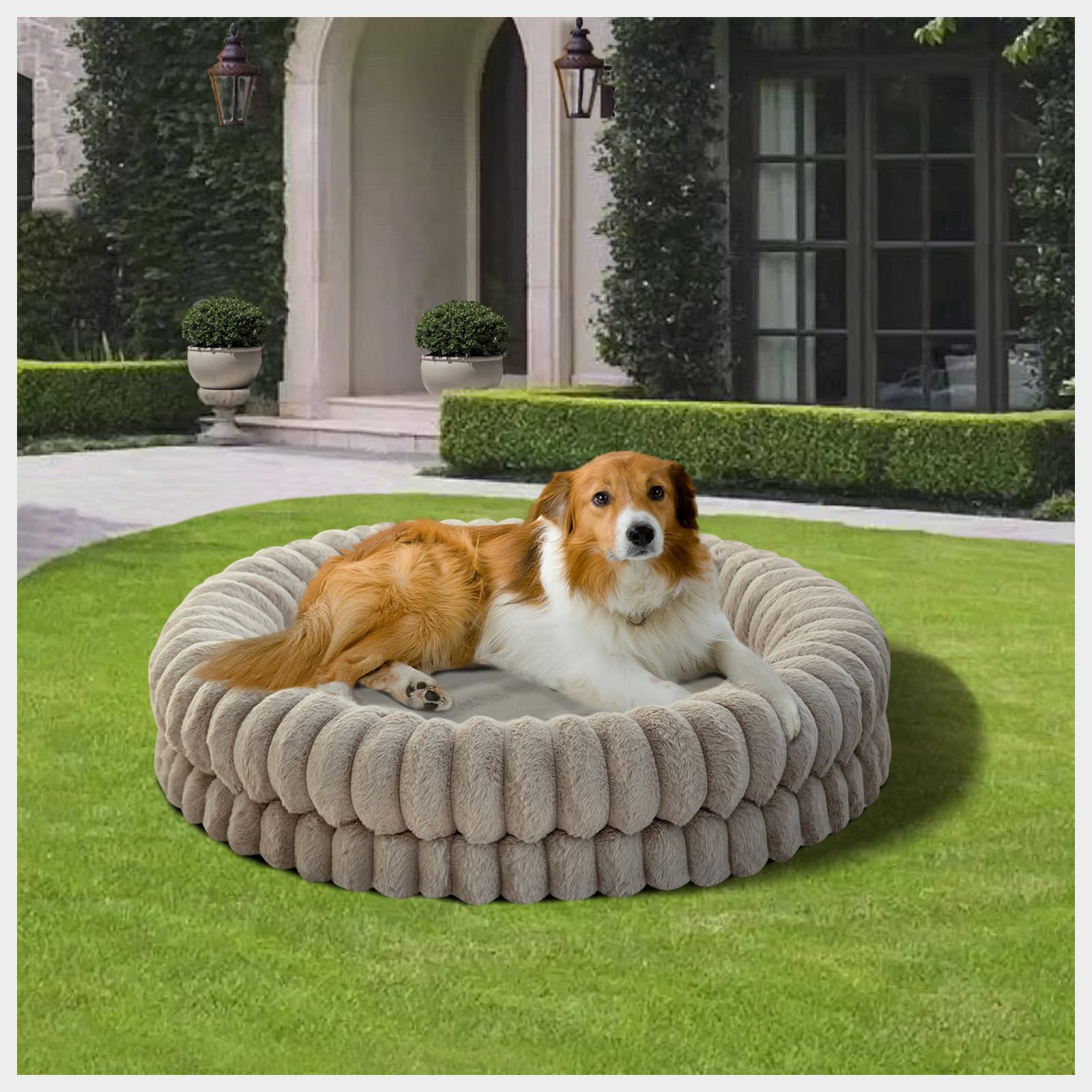 BALANCE Cama en forma de rosquilla, uso seguro en suelos fríos.