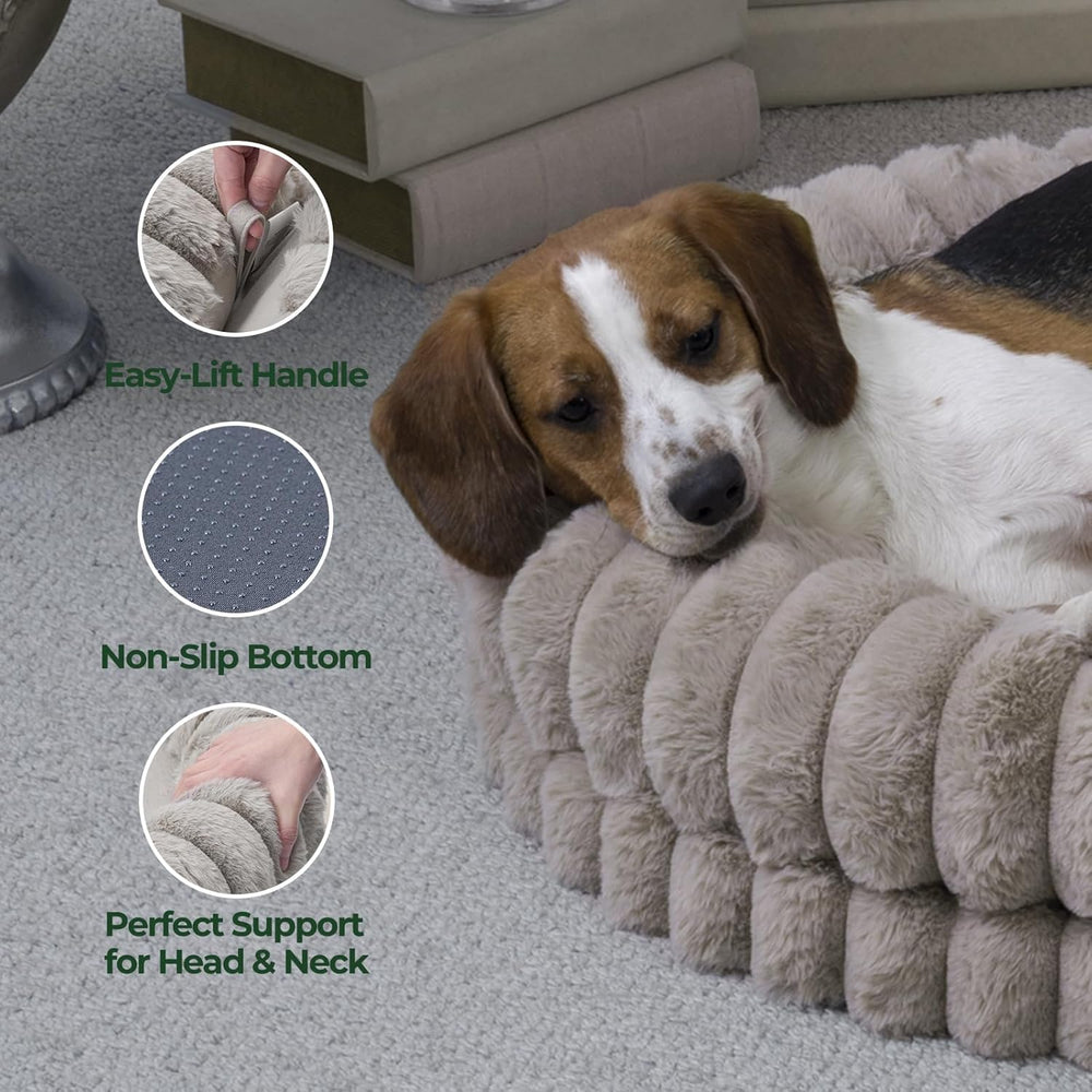 BALANCE cama rosquilla con perro descansando; muestra comodidad y tranquilidad.