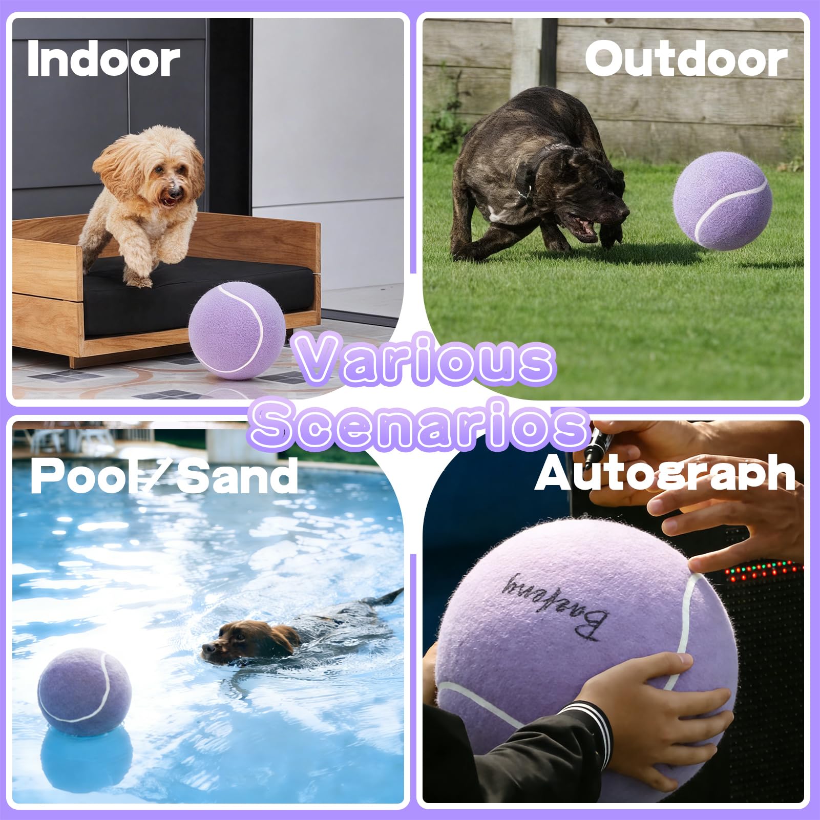 Banfeng Pelota apta para parques, jardines y piscina