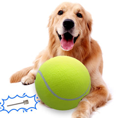 Banfeng pelota-tenis-perro-grande 9-5 pulgadas, perfecta para juego activo.