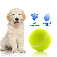 Banfeng pelota-tenis-perro-grande-interactivo, fomenta actividad física y juego en parques.