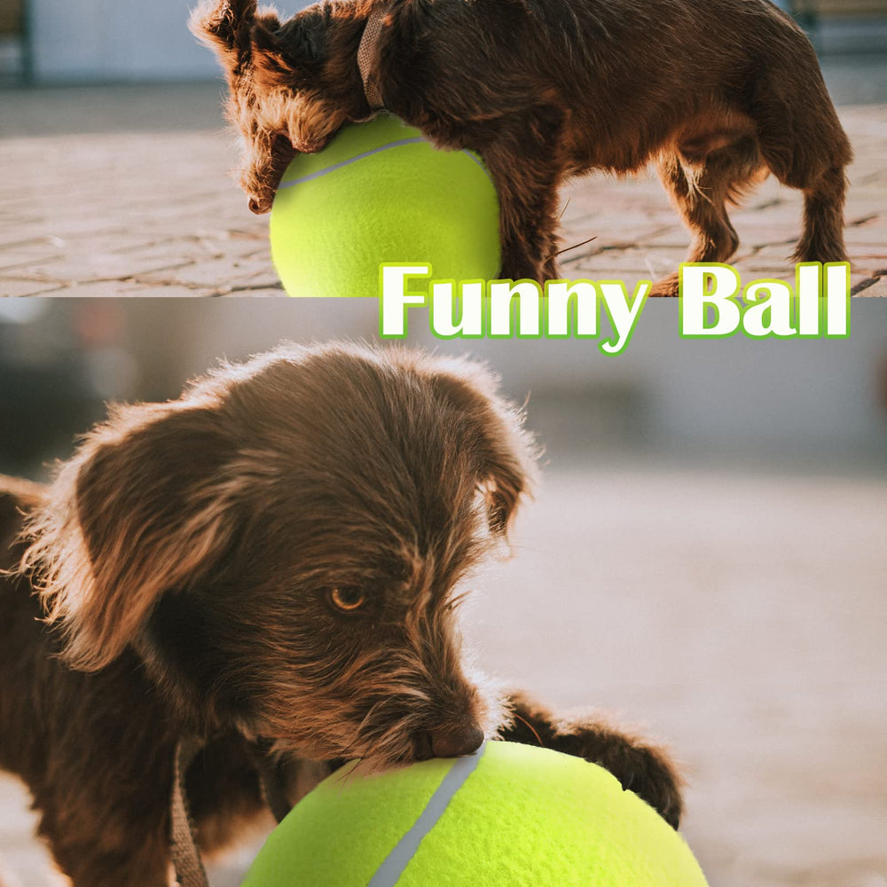 Banfeng pelota-tenis-perro-grande-usos-deportivo, ideal como complemento de rutinas para perros.