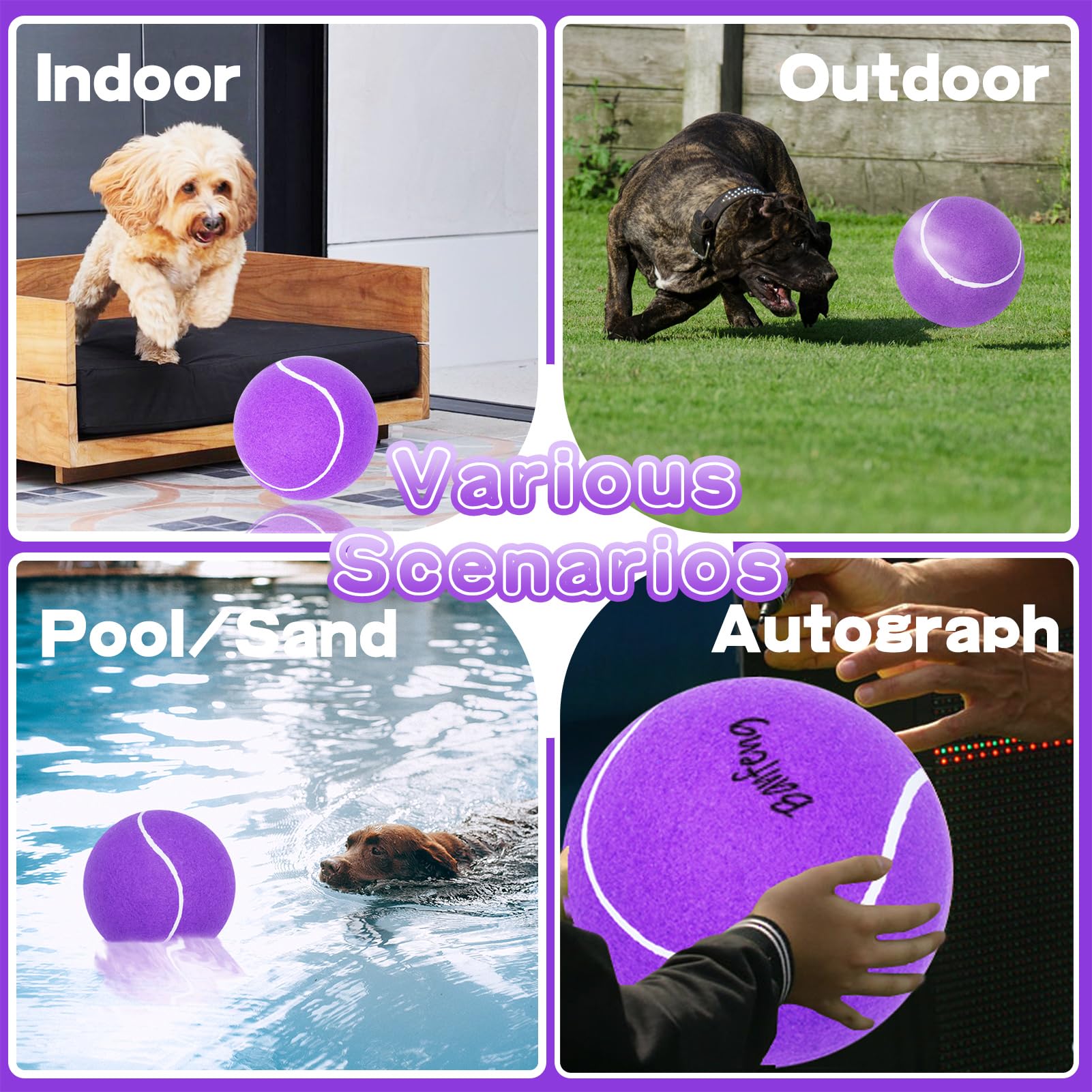 Banfeng Pelota de regalo para mascotas, fortalece vínculos familiares