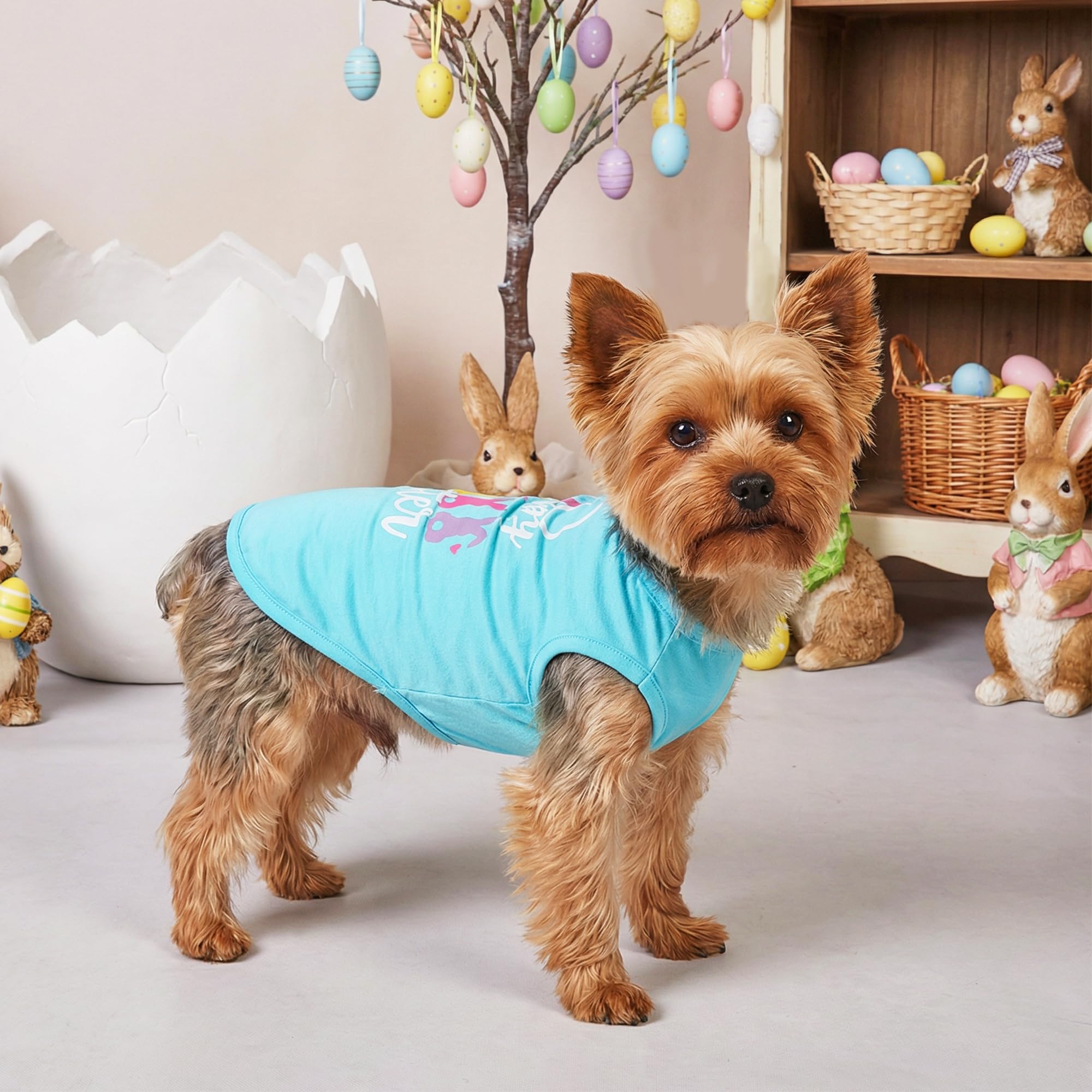 Baobicute atuendo Pascua para perro diseño conejo, festivo para fiestas.