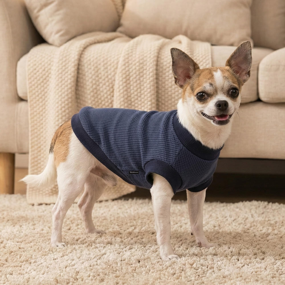 baobicute camiseta perro triple pack tejido suave, sensación agradable al tacto