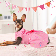 BAOBICUTE disfraz con corona princesa para perro, look adorable