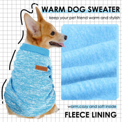 SUDADERA BAOBICUTE para perro pequeño en azul claro, ideal para salidas diarias.