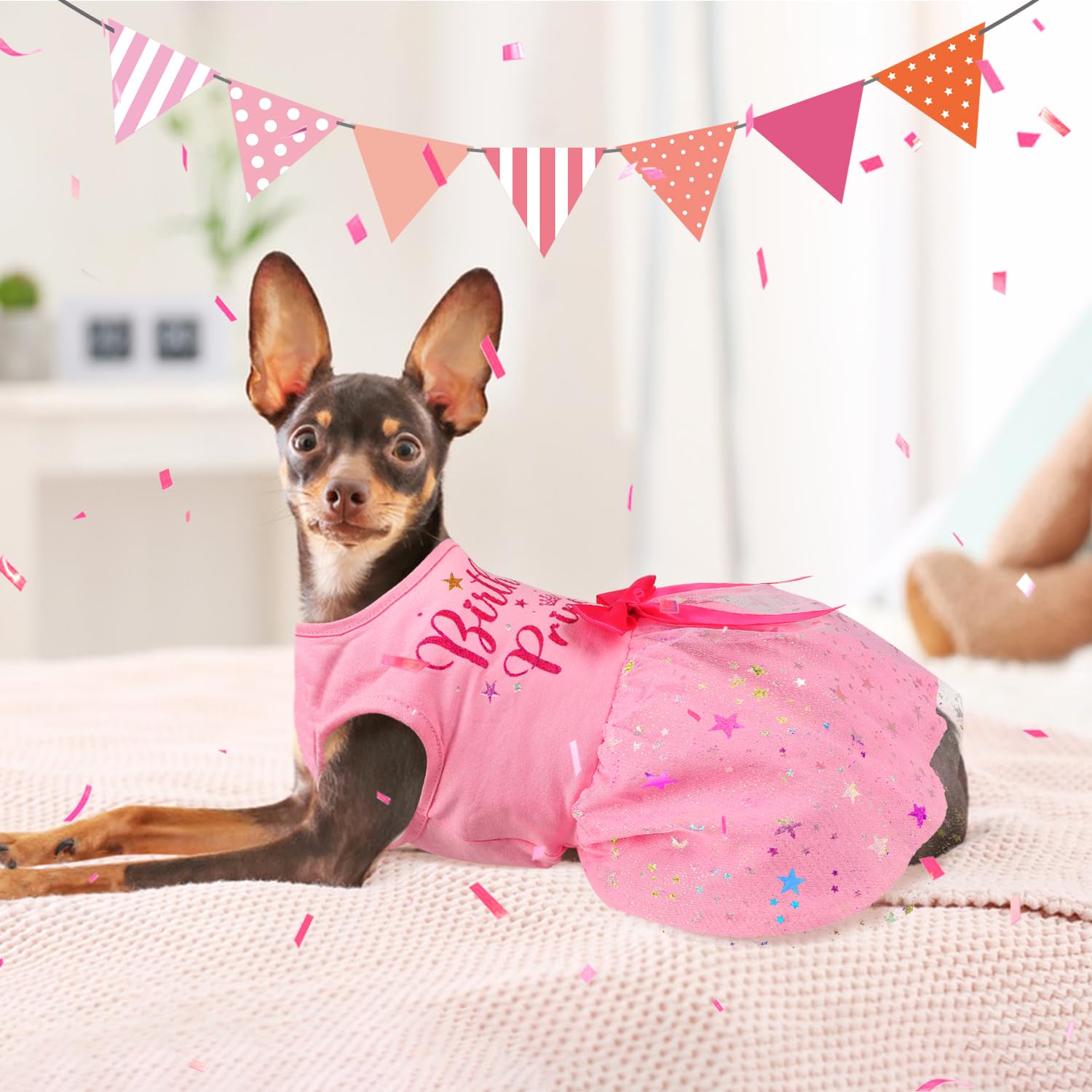Baobicute vestido perro con diseño de estrellas y diamantes, para un look deslumbrante.