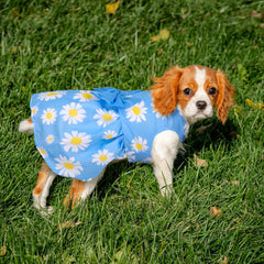 BAOBICUTE vestido-perro-floral-verano-botones, diseño cómodo para perros pequeños.