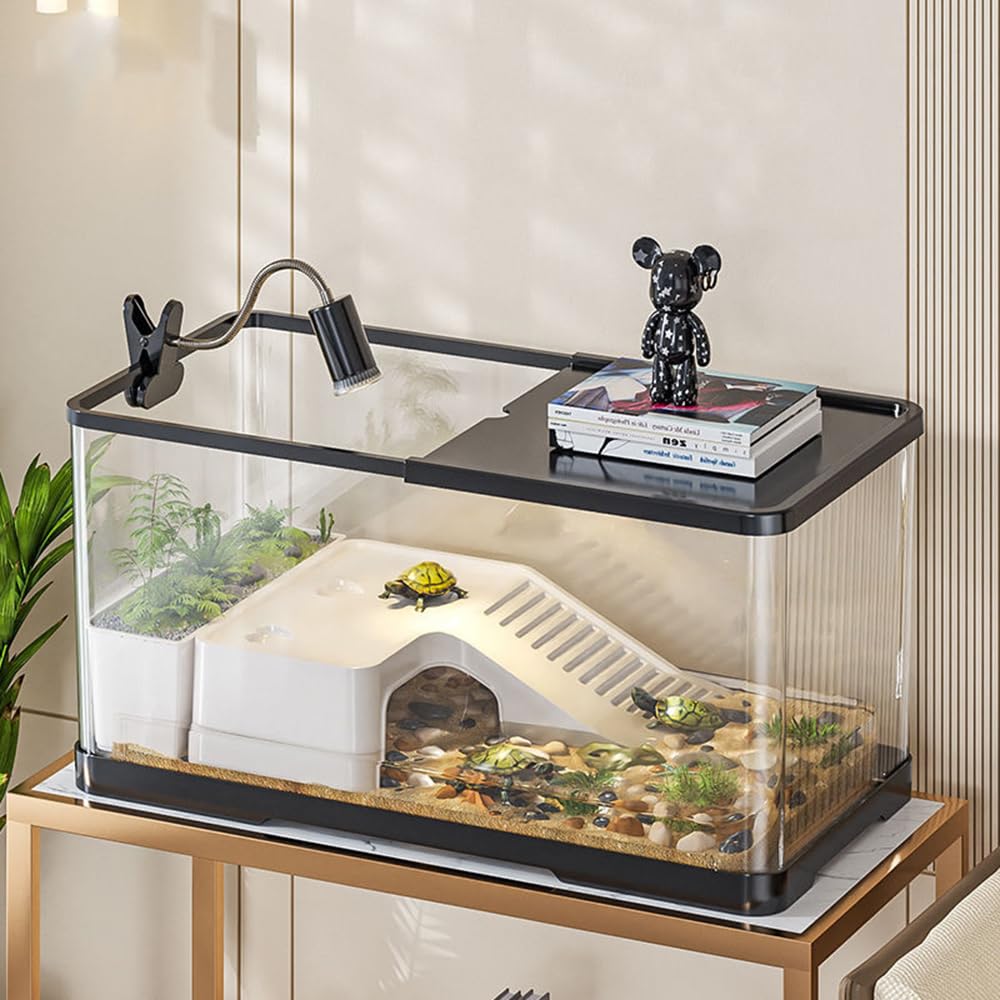 Baoyemes acuario que simula un ecosistema natural para exploración.