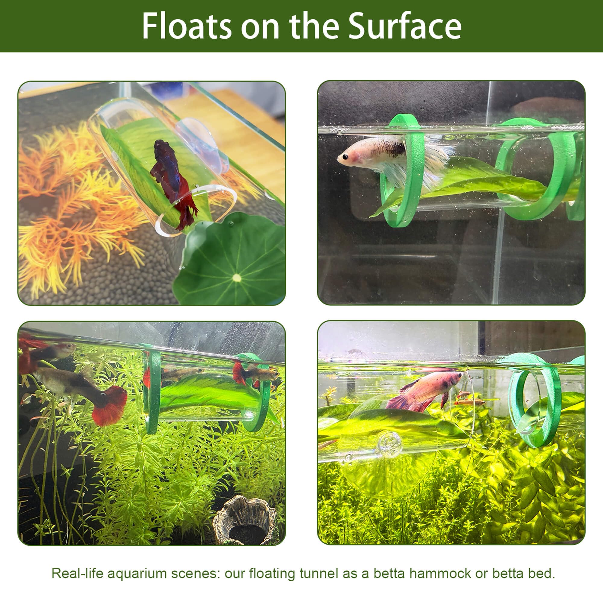 BaoZqua ventosa de sujeción mantiene estable el túnel en la pared.