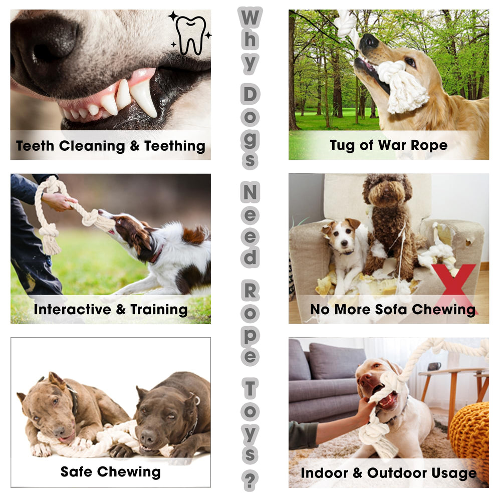 Barida jouet corde dentition, coton naturel pour chiens de toutes tailles